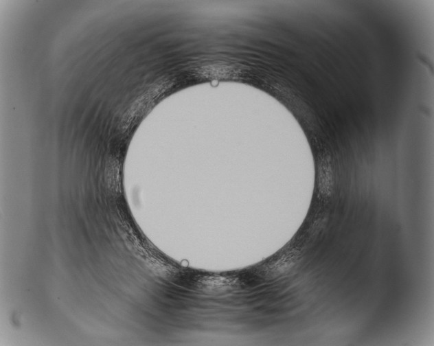 X0000103940453200810311529