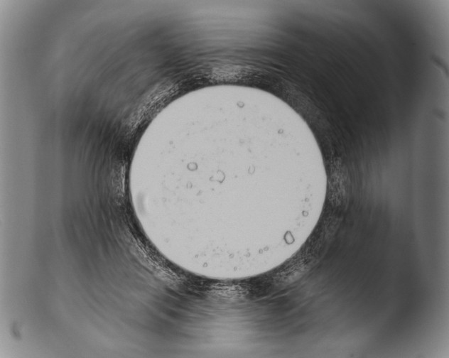 X0000103940454200810311529