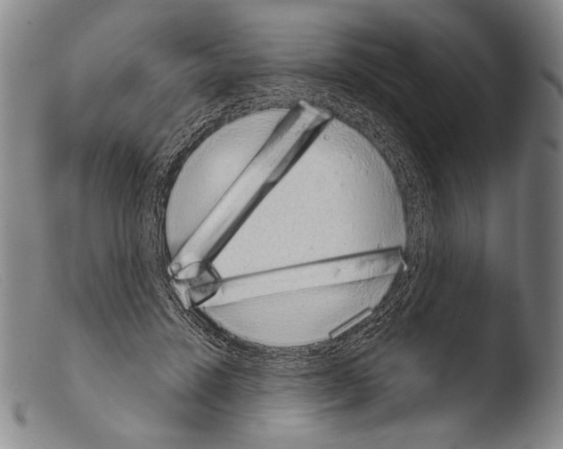 X0000103940456200810311529