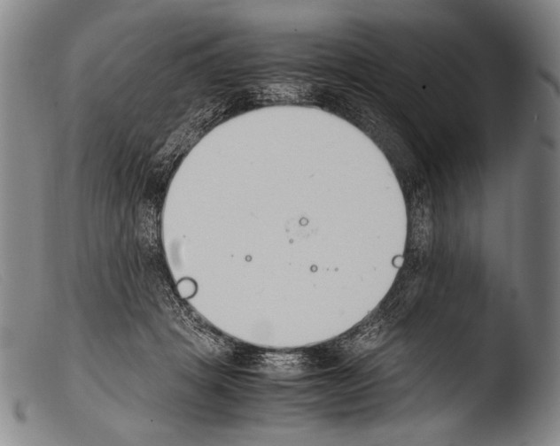 X0000103940457200810311529