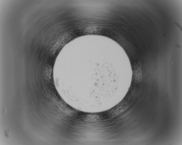 X0000103940458200810311529