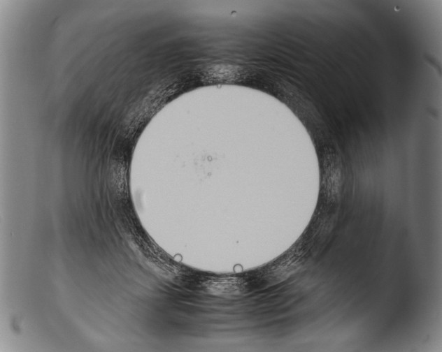 X0000103940459200810311529