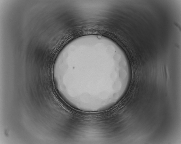 X0000103940460200810311529