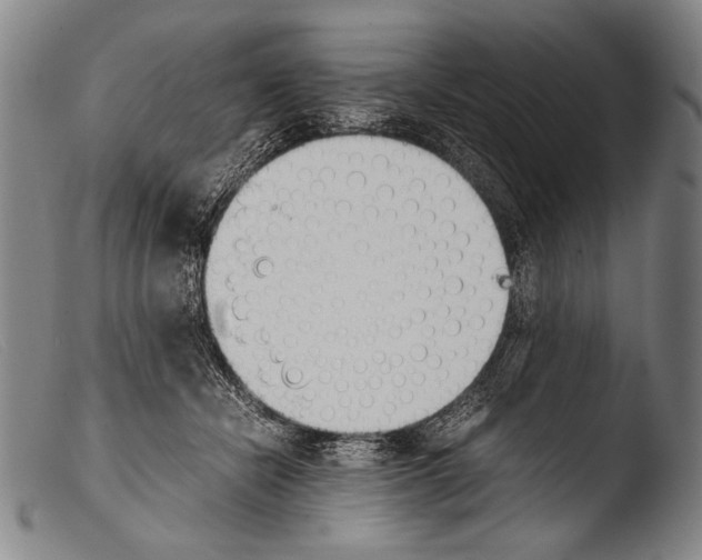 X0000103940462200810311529