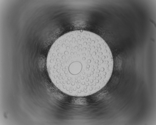 X0000103940463200810311529