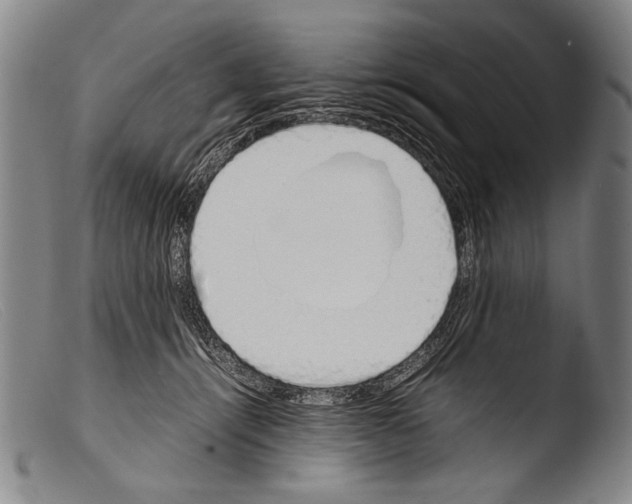 X0000103940464200810311529