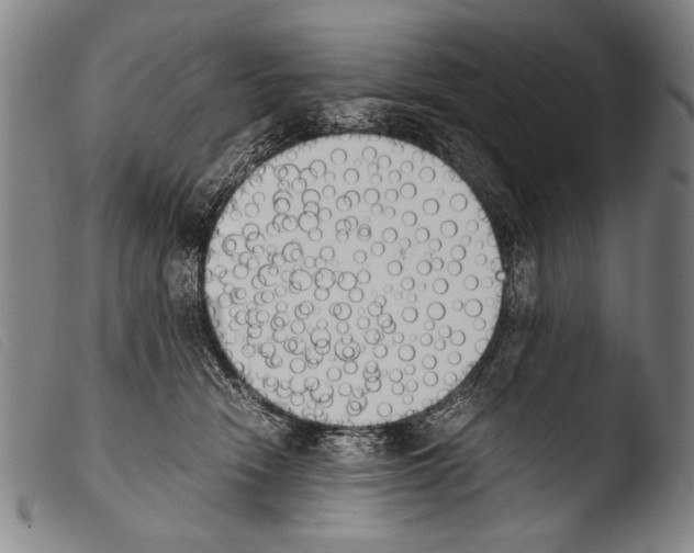 X0000103940466200810311529