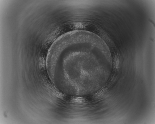 X0000103940467200810311529