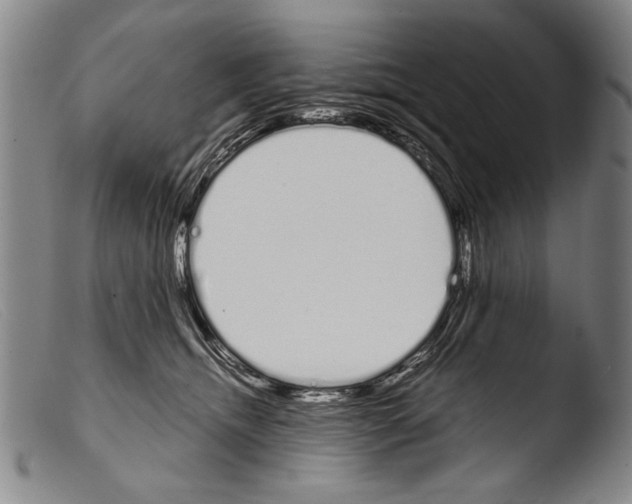 X0000103940468200810311529