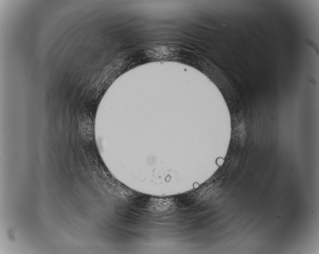 X0000103940469200810311529