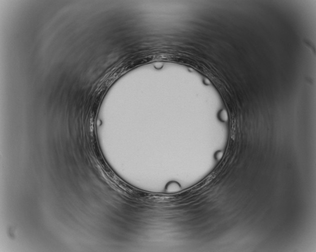 X0000103940472200810311529