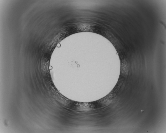 X0000103940473200810311529