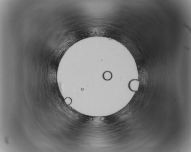 X0000103940474200810311529