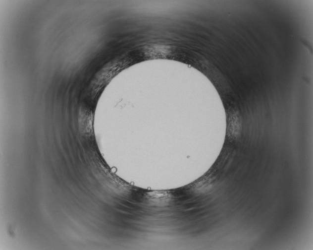 X0000103940477200810311529