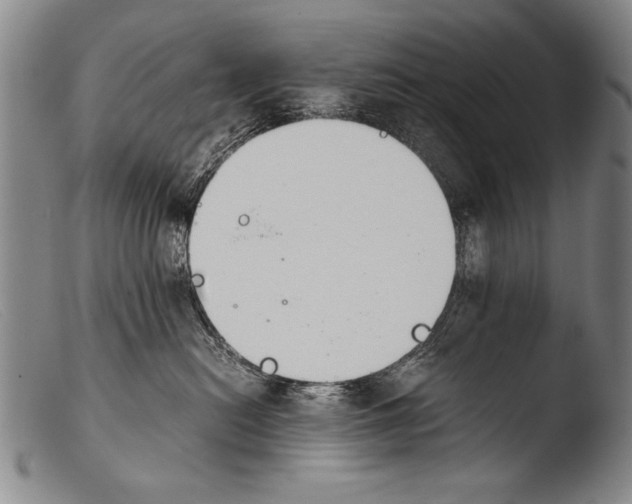 X0000103940478200810311529