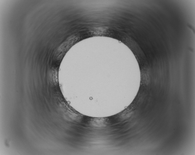 X0000103940479200810311529