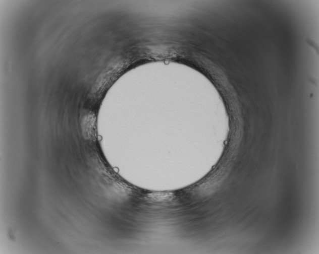 X0000103940480200810311529