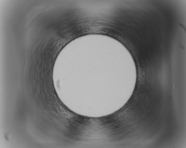 X0000103940481200810311529