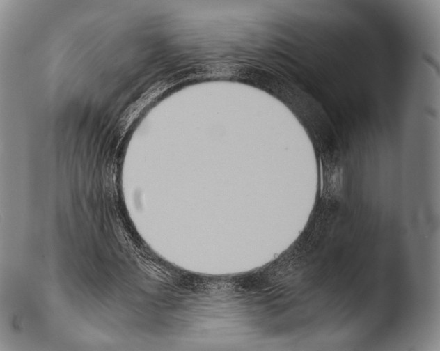 X0000103940483200810311529