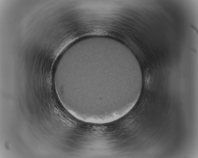 X0000103940484200810311529