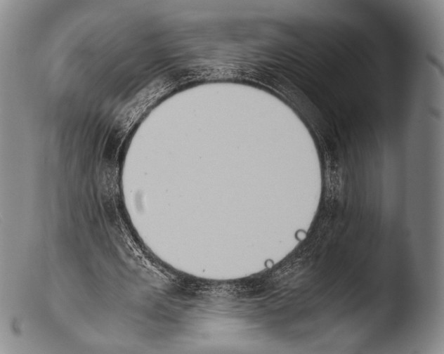 X0000103940485200810311529