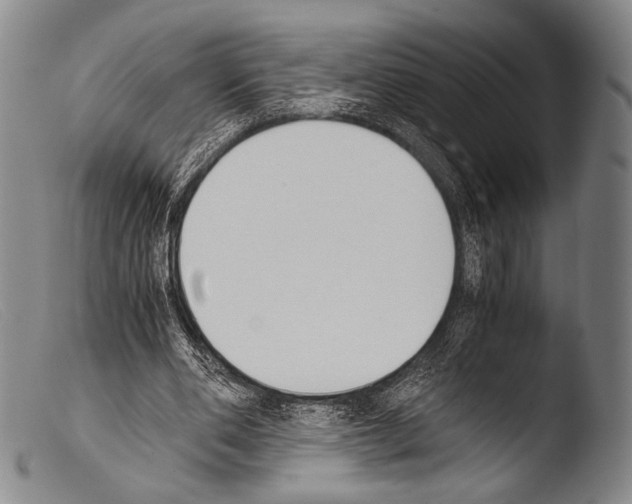 X0000103940486200810311529