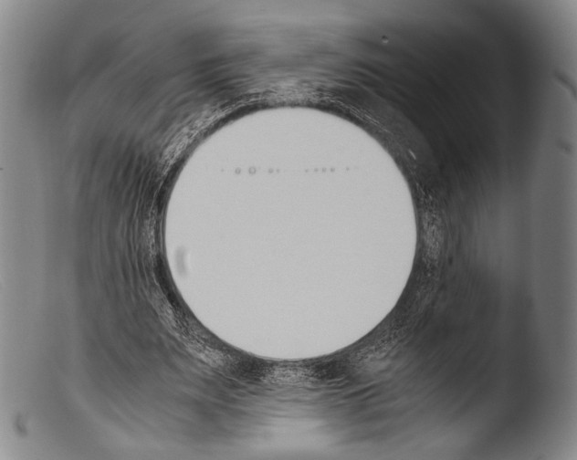 X0000103940487200810311529