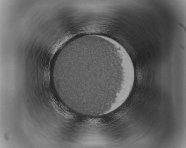 X0000103940488200810311529