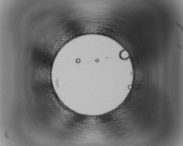 X0000103940489200810311529