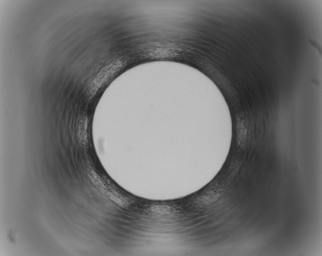 X0000103940490200810311529