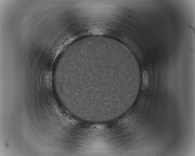 X0000103940492200810311529