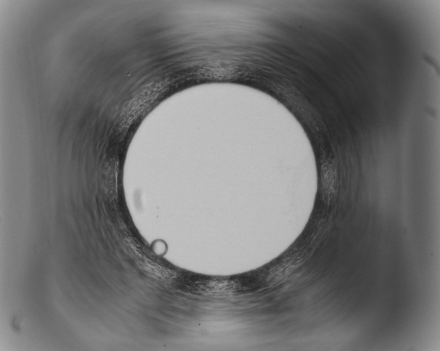 X0000103940493200810311529