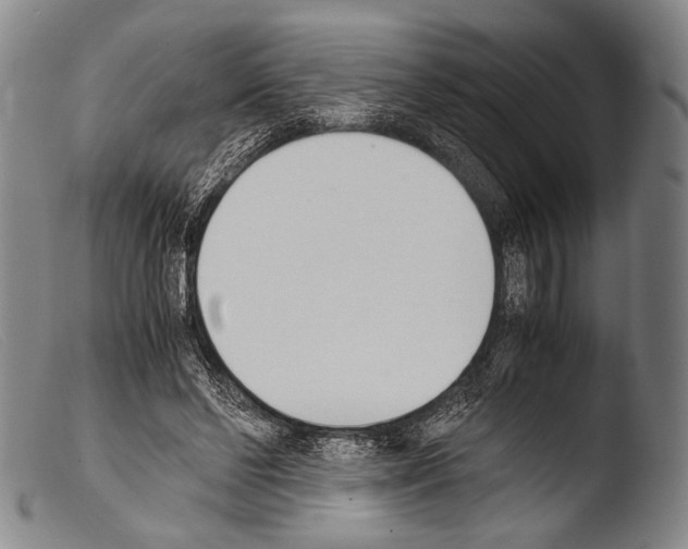 X0000103940494200810311529