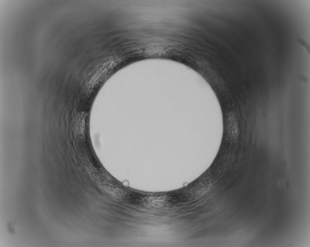 X0000103940495200810311529