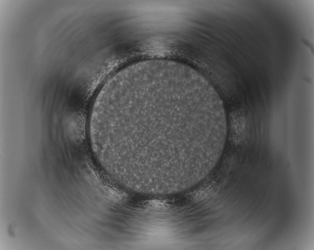 X0000103940496200810311529