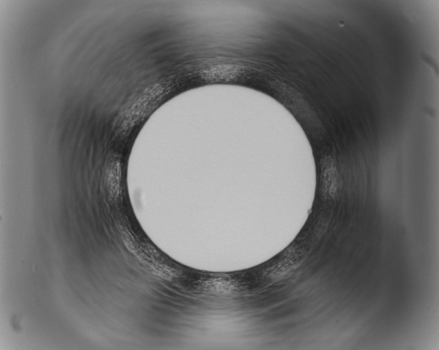 X0000103940498200810311528