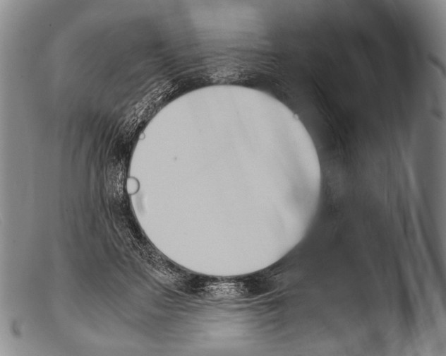 X0000103940499200810311528