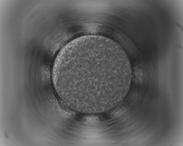 X0000103940500200810311528