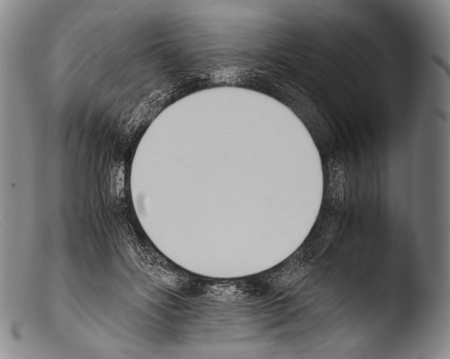 X0000103940502200810311528