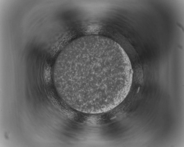 X0000103940504200810311528