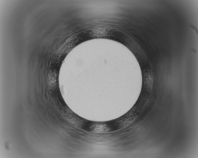 X0000103940507200810311528