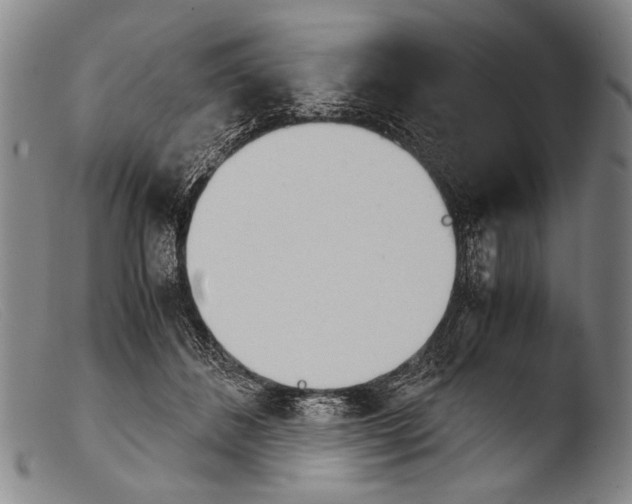 X0000103940508200810311528