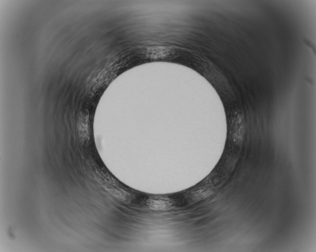 X0000103940510200810311528