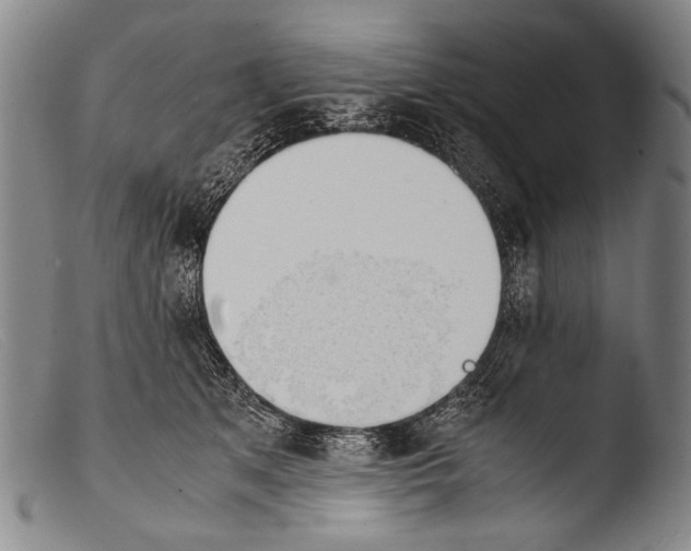 X0000103940513200810311528