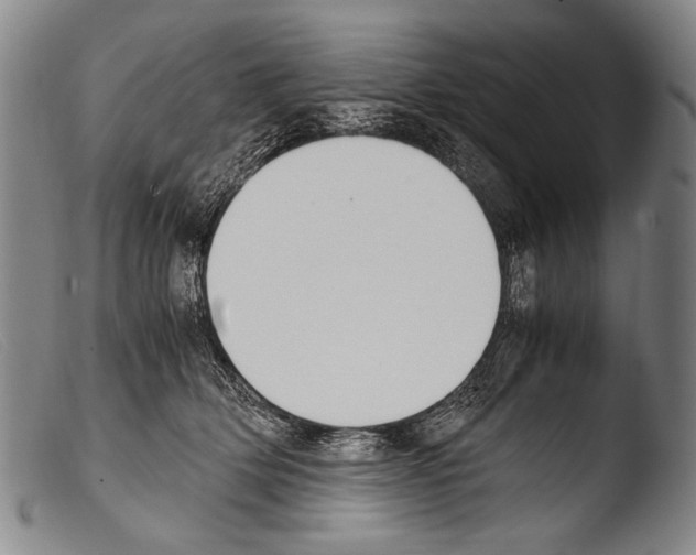 X0000103940514200810311528