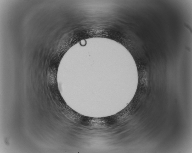 X0000103940515200810311528