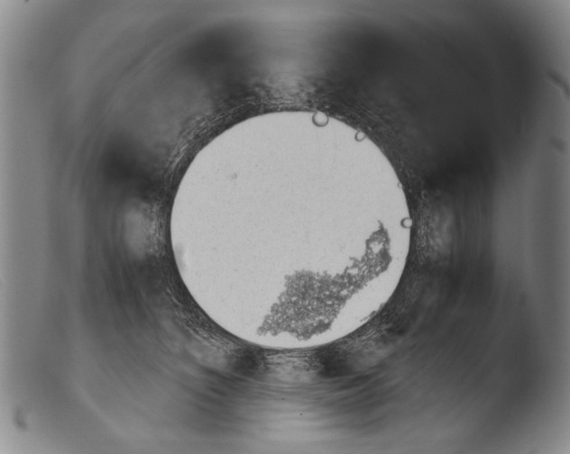 X0000103940516200810311528