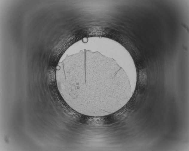 X0000103940517200810311528