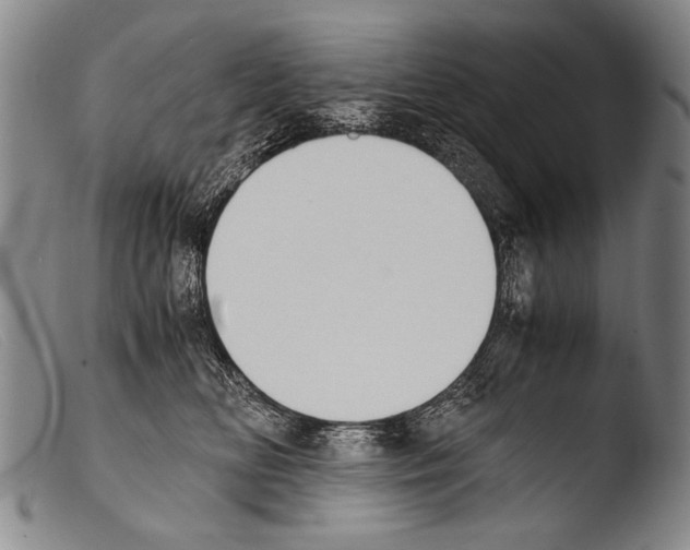 X0000103940518200810311528