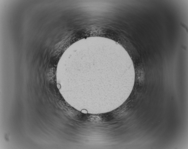 X0000103940519200810311528